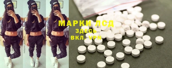 PSILOCYBIN Рославль