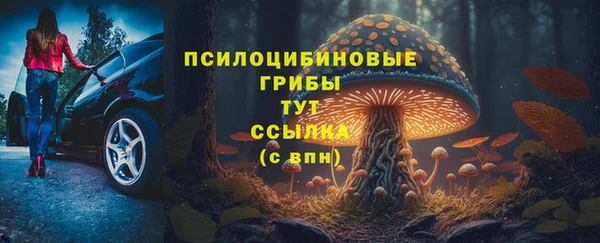 PSILOCYBIN Рославль