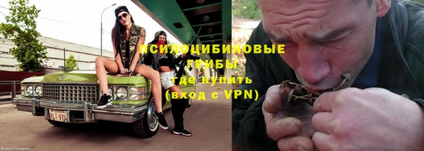 PSILOCYBIN Рославль